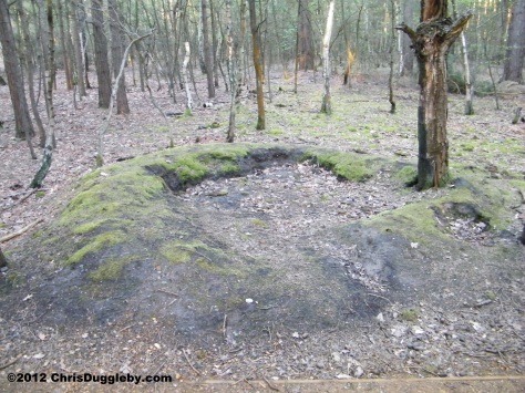 Horsell Common Disturbed Mound A
