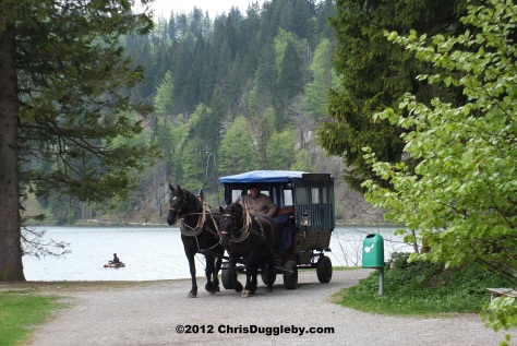 Spitzingsee by Horse and Carriage