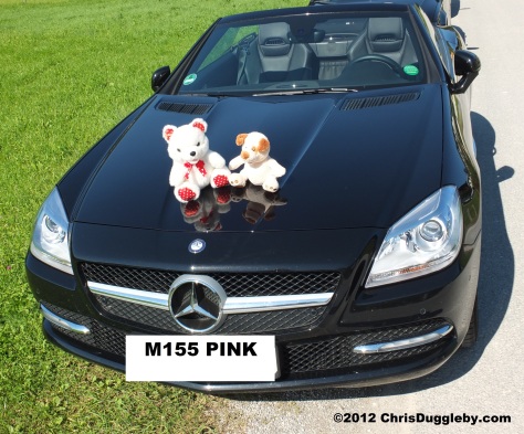 Pink Lips having fun with RISKKO the Dog on her Topless Convertible Mercedes