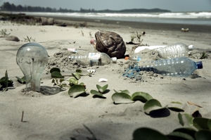 Plastic pollution on the beach (including PET bottles)