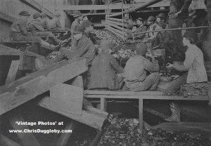 Kohinor Mine Coal Breaker Boys, Shenandoah City, PA 1891